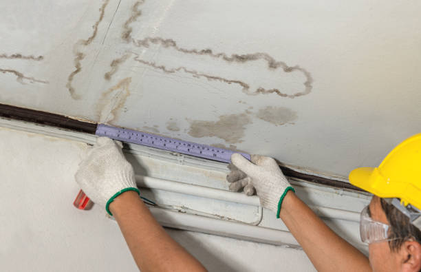 Reliable Water Damage contractor in Rogers, TX by Water Damage Irwin